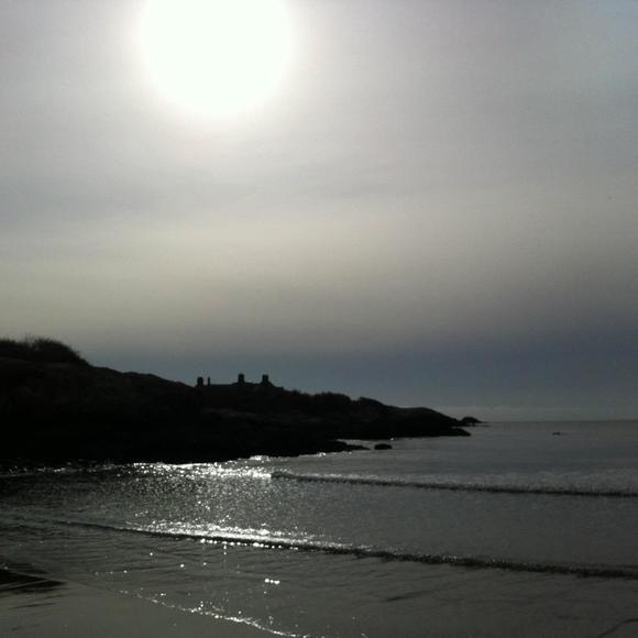 Meet your Posher, Mjd - Picture 1 of 1